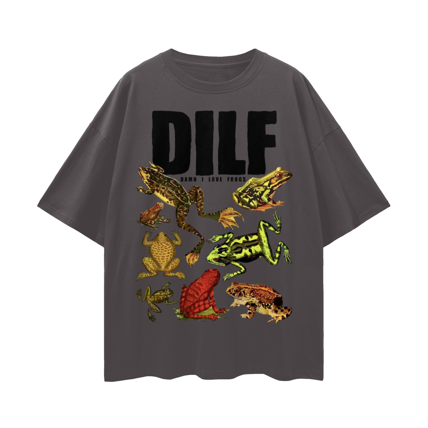 Vintage/Y2K Funny DILF Damn I Love Frogs Oversized T Shirt