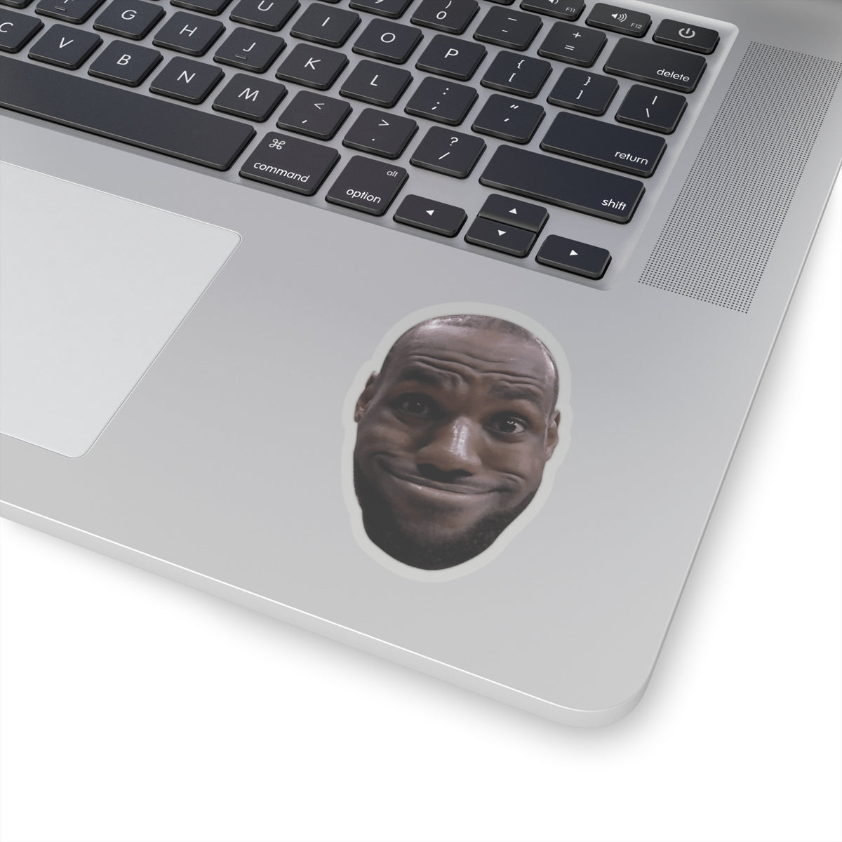 Lebron James Funny Meme Sticker