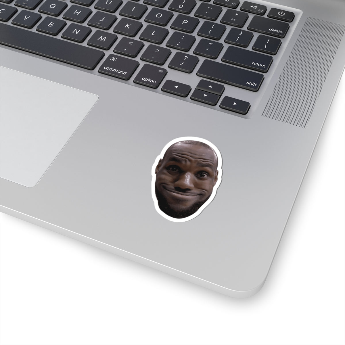 Lebron James Funny Meme Sticker