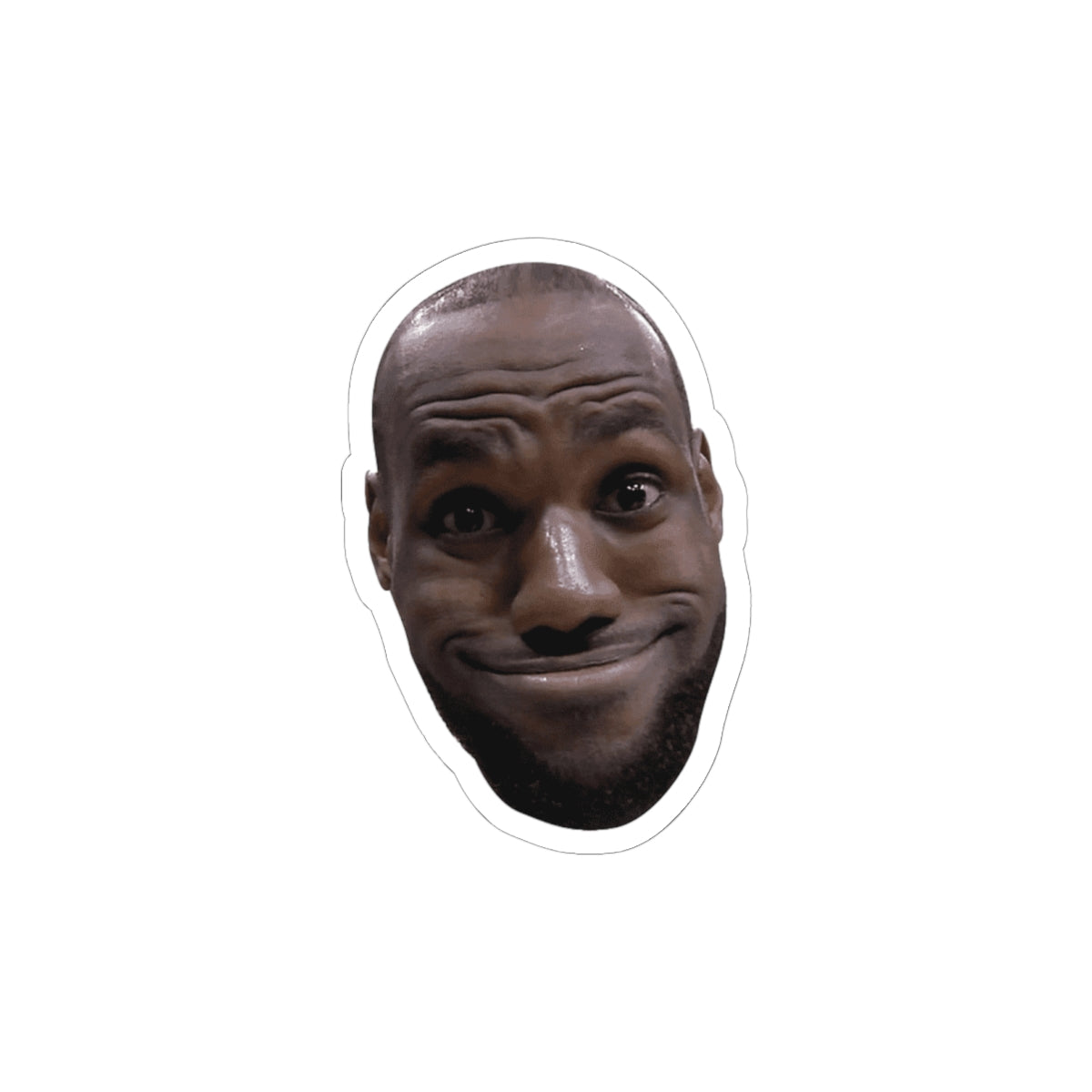 Lebron James Funny Meme Sticker