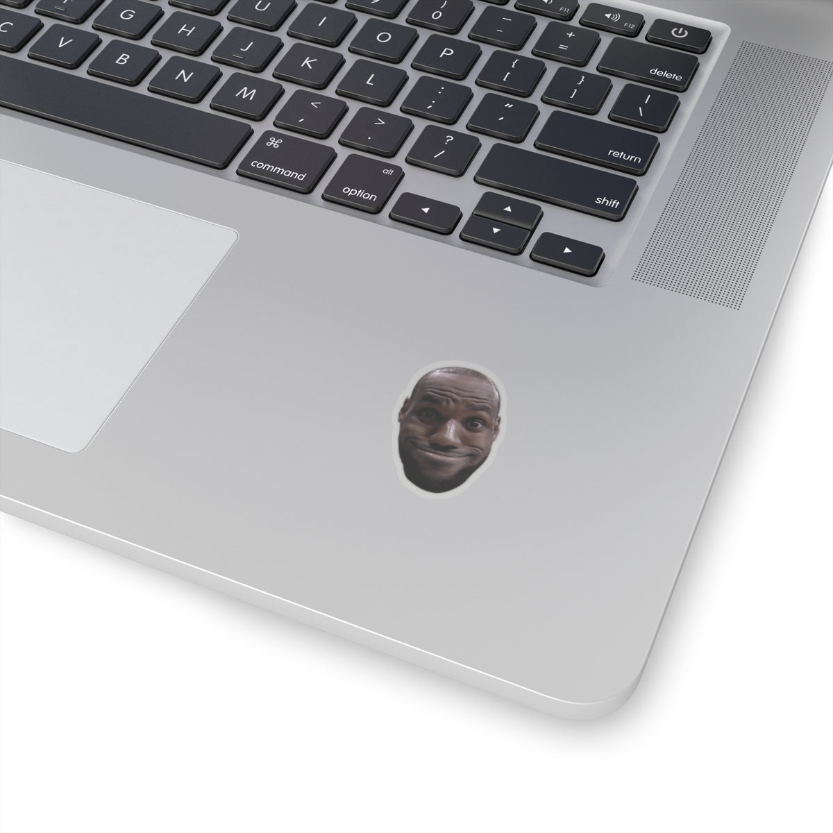 Lebron James Funny Meme Sticker