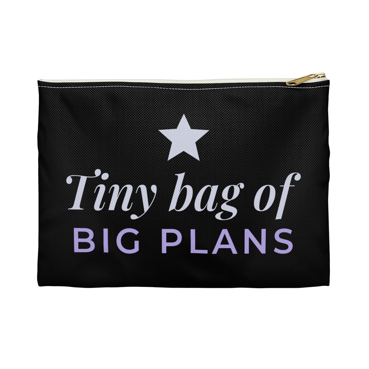 Stocking Stuffer for Her, Tiny Bag of Big Plans Makeup Bag, Cute Cosmetic Pouch, Christmas Gift, Zipper Travel Pouch