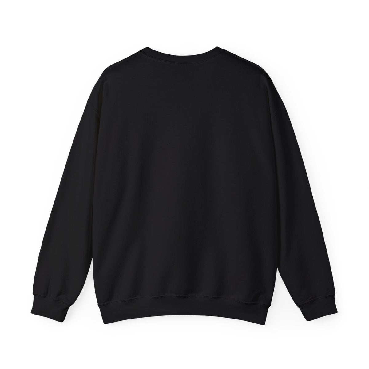 P155 Printify mockup S / Black back